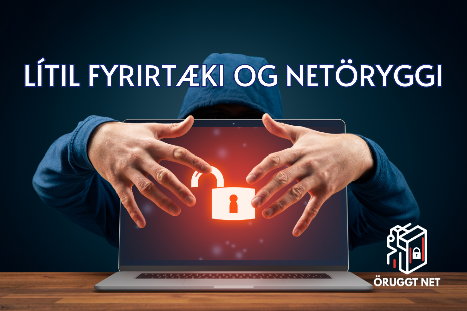 Lítil fyrirtæki og netöryggið þeirra